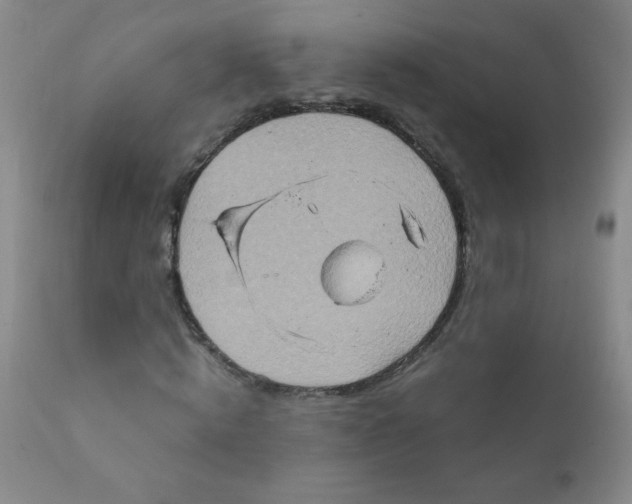 X0000111900820200908240959