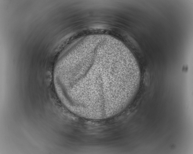 X0000111900821200908240959