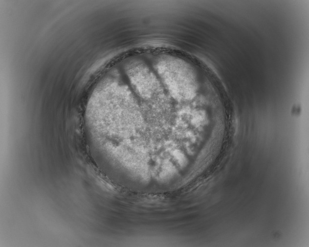 X0000111900823200908240959