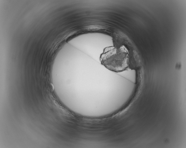 X0000111900825200908240959