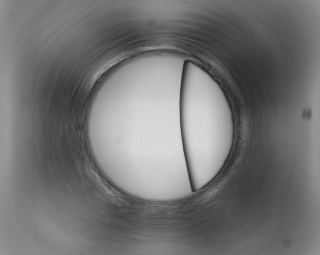 X0000111900826200908240959