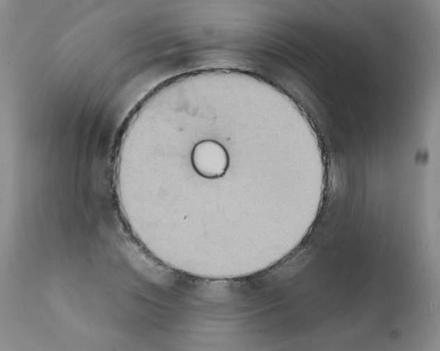 X0000111900828200908241000