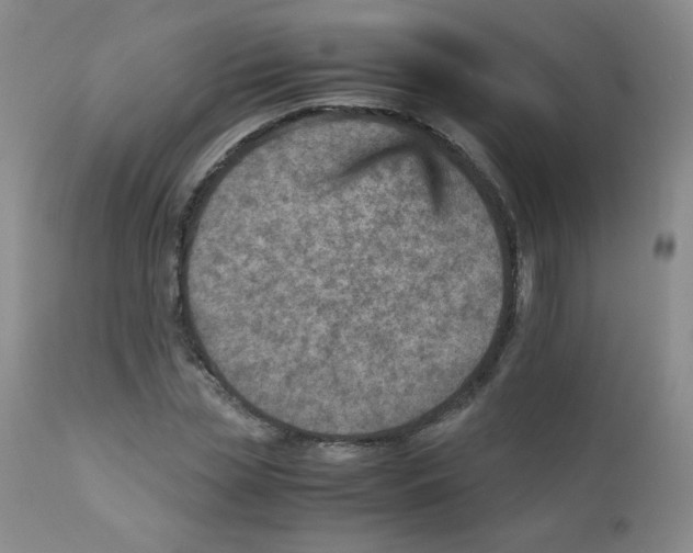 X0000111900829200908241000