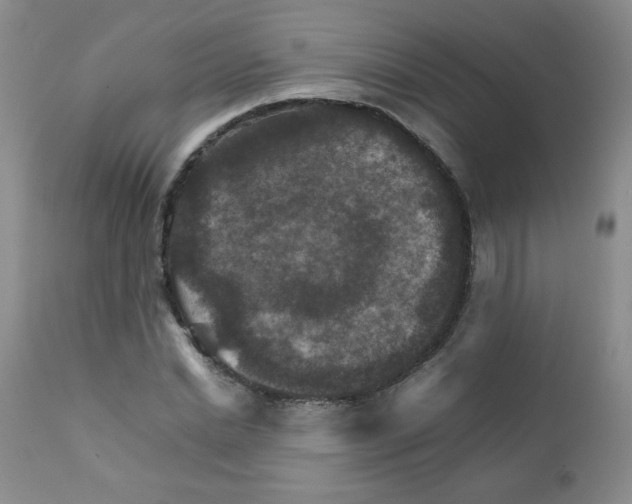 X0000111900830200908241000