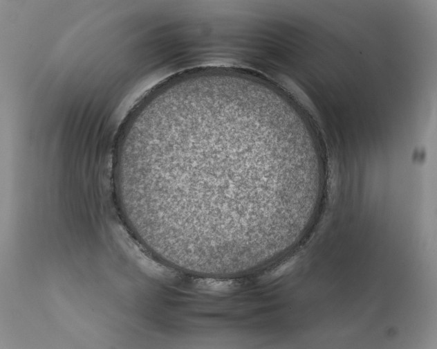 X0000111900831200908241000