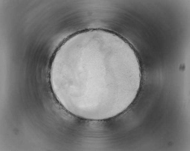 X0000111900832200908241000