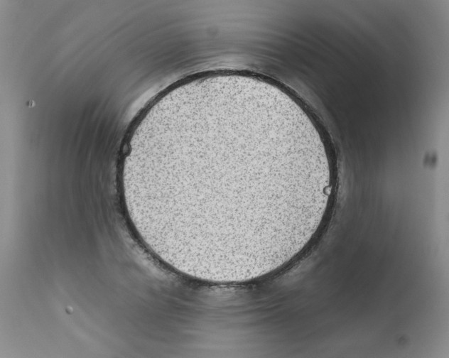 X0000111900834200908241000