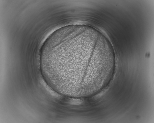 X0000111900835200908241000