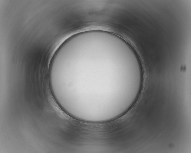 X0000111900836200908241000