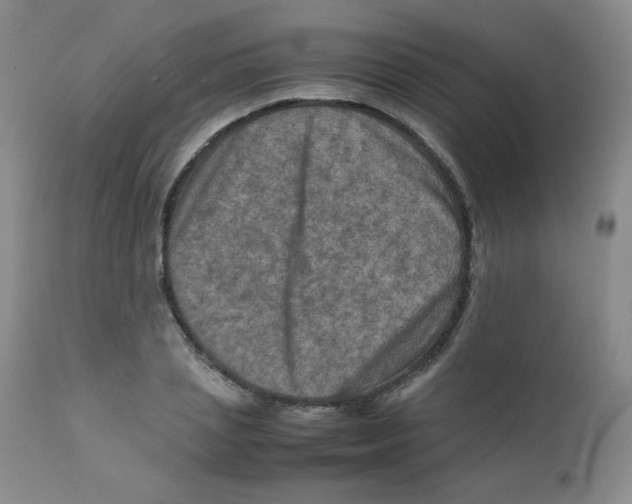 X0000111900837200908241000