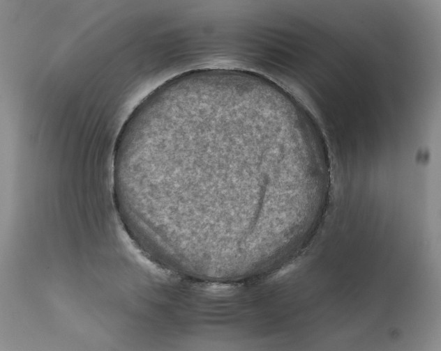 X0000111900839200908241000