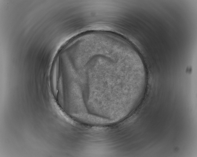 X0000111900840200908241000