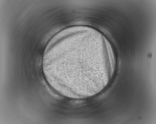 X0000111900841200908241000