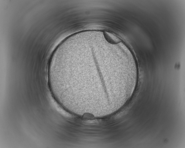 X0000111900843200908241000