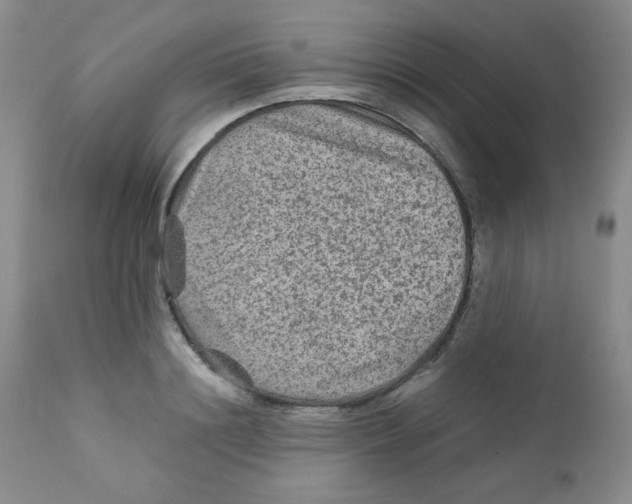 X0000111900844200908241000