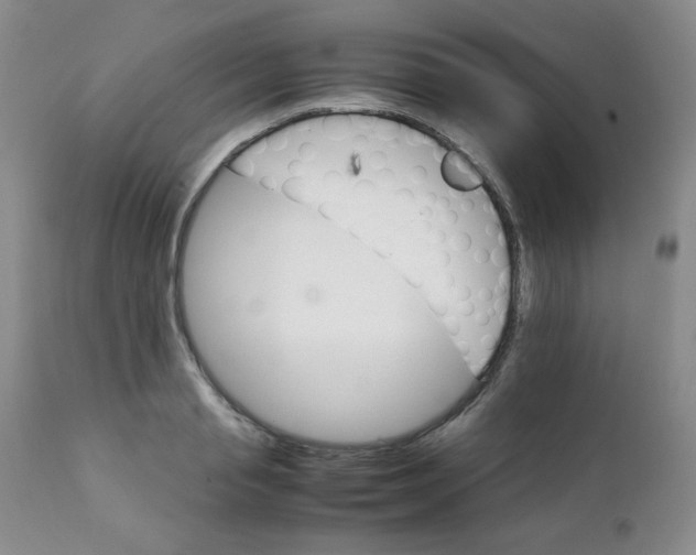 X0000111900845200908241000