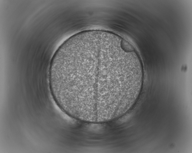 X0000111900847200908241000