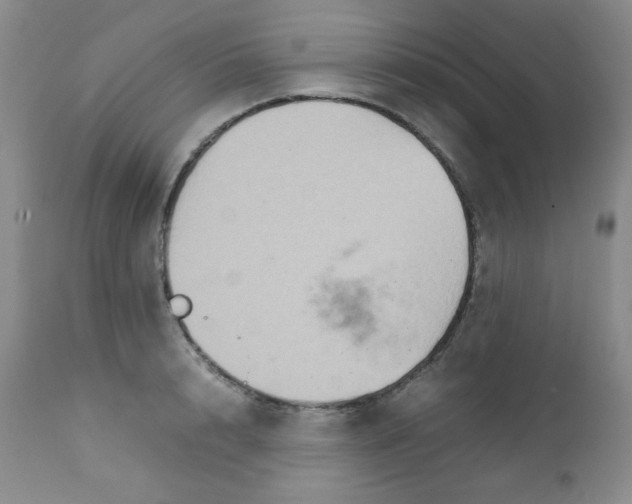 X0000111900848200908241000