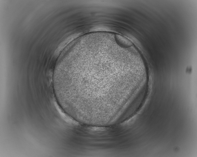 X0000111900849200908241000