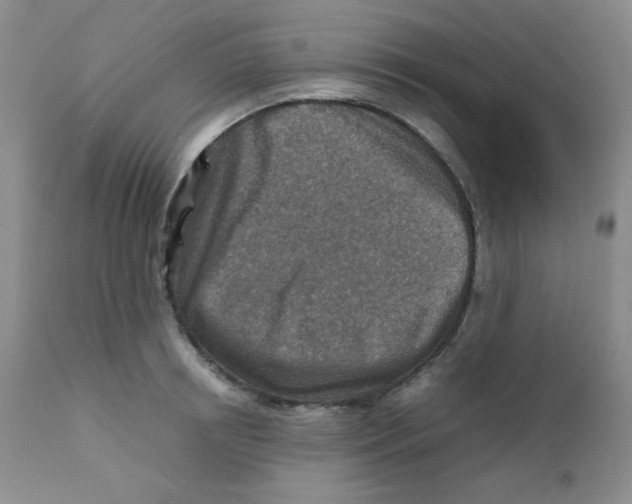 X0000111900850200908241000