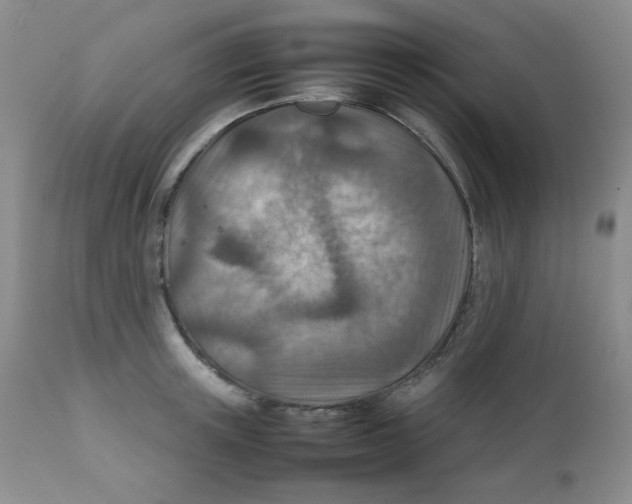 X0000111900851200908241000