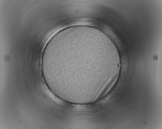 X0000111900852200908241000