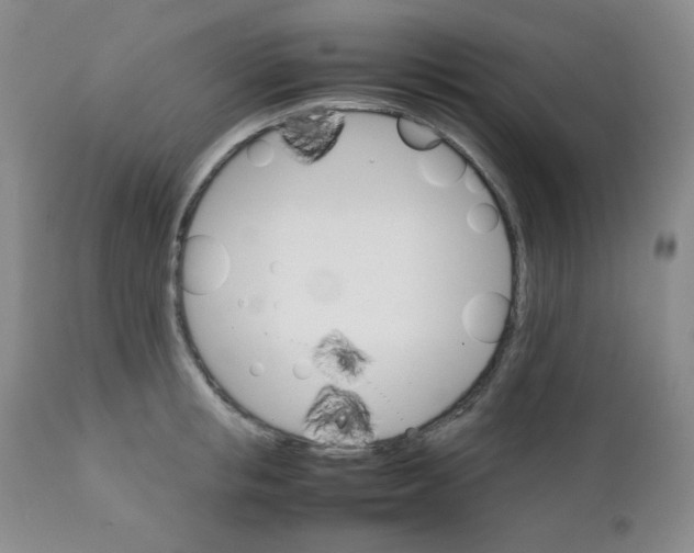 X0000111900853200908241000