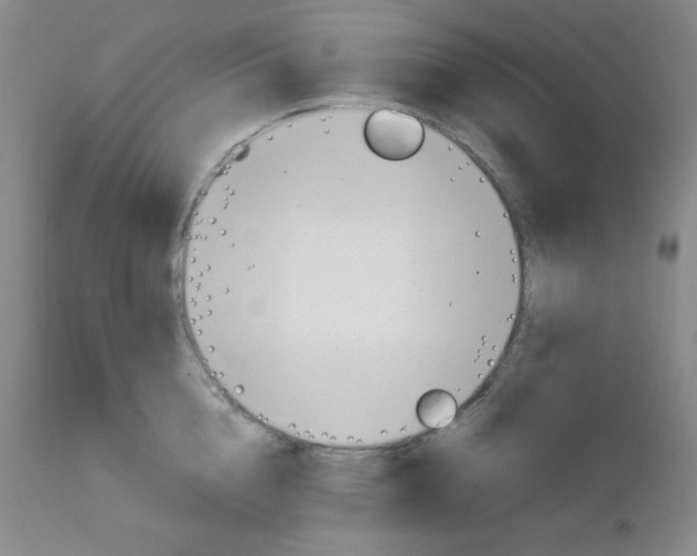 X0000111900856200908241000