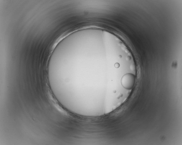 X0000111900858200908241000