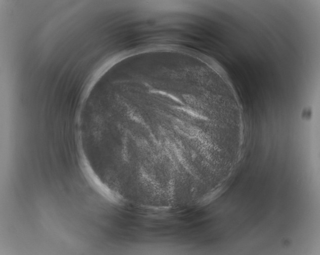 X0000111900859200908241000