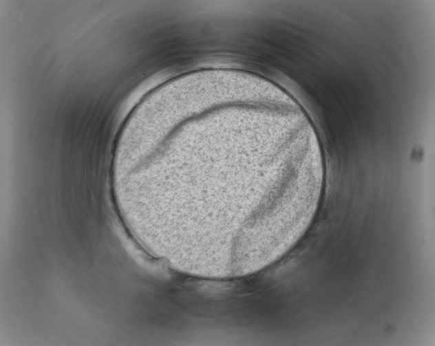 X0000111900861200908241000