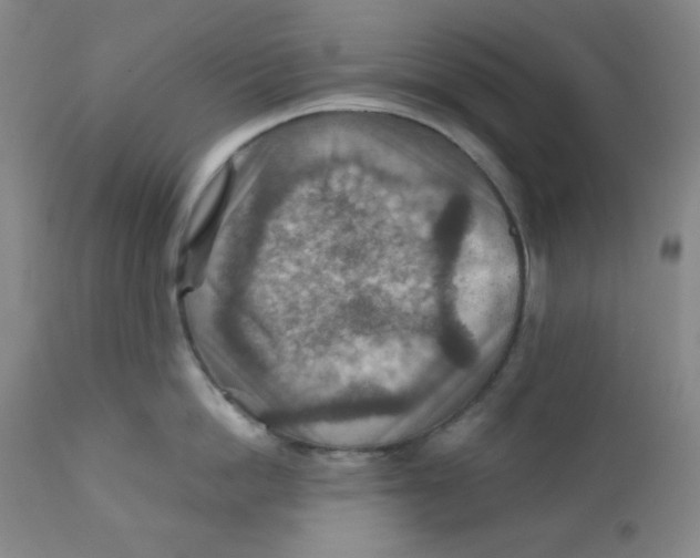 X0000111900862200908241000