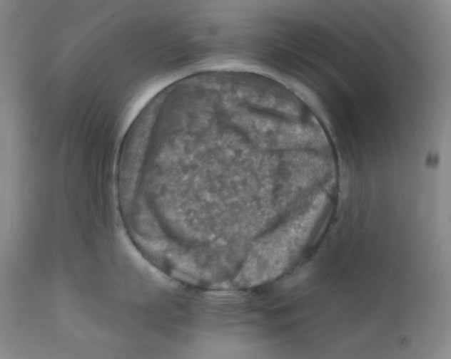 X0000111900863200908241000