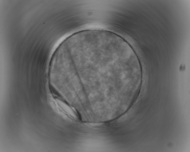 X0000111900864200908241000