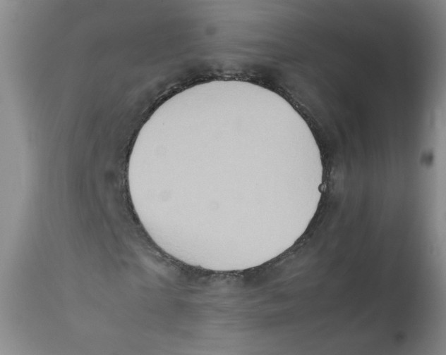 X0000111900865200908240959