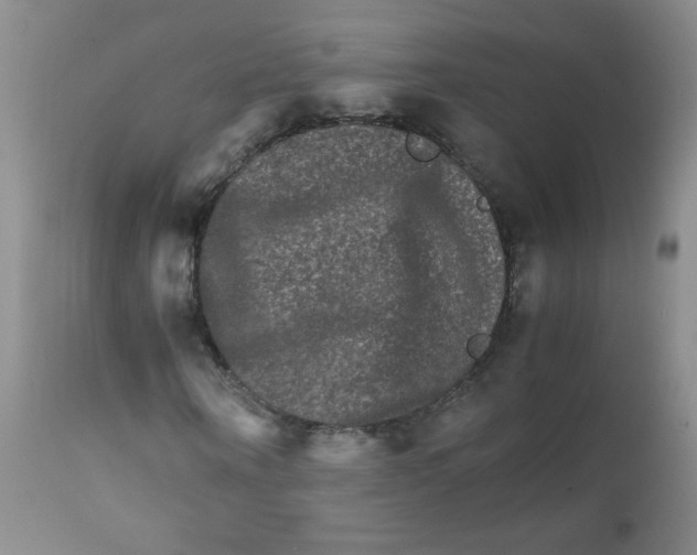 X0000111900866200908240959