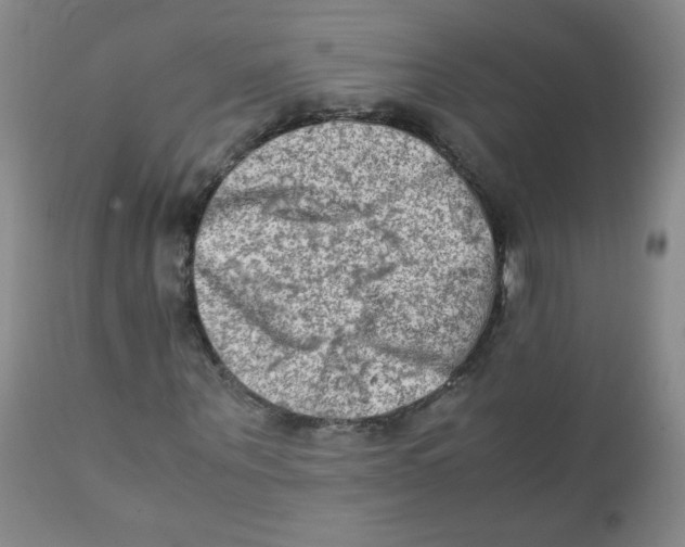 X0000111900867200908240959