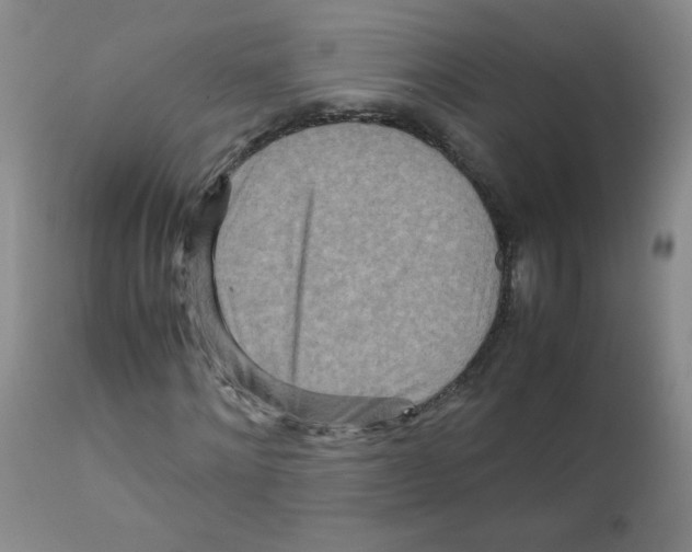 X0000111900868200908240959