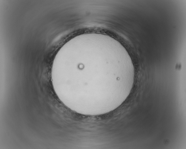 X0000111900869200908240959