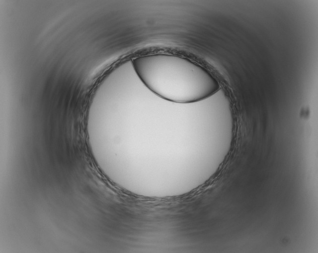 X0000111900872200908240959