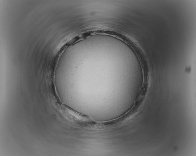 X0000111900873200908240959