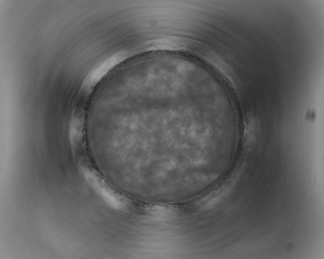 X0000111900874200908240959