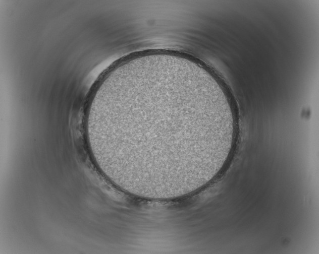 X0000111900875200908240959