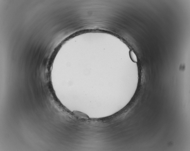 X0000111900876200908240959