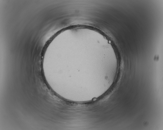 X0000111900877200908240959