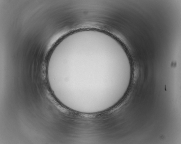 X0000111900878200908240959