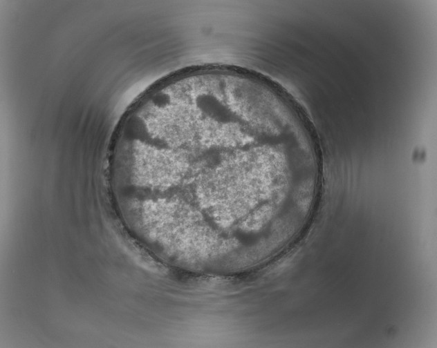 X0000111900879200908240959