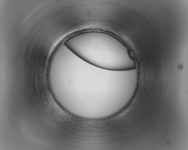 X0000111900880200908240959