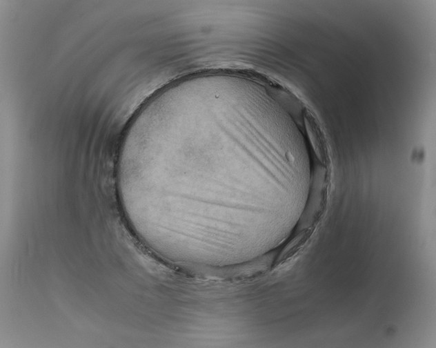 X0000111900881200908240959