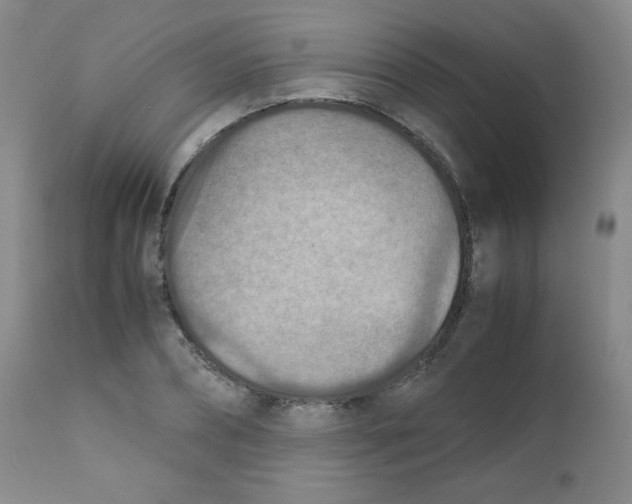 X0000111900882200908240959